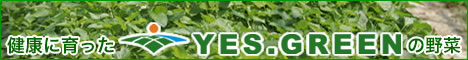 健康に育ったYES.GREENの野菜