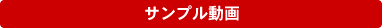 サンプル動画