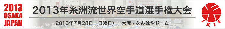 2013NFE蓹I茠@F25N728(j)@EȂ݂͂h[