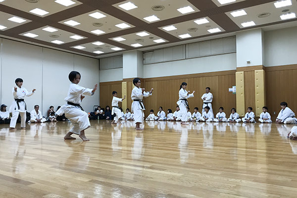JKFan NEWS International (空手ワールド)