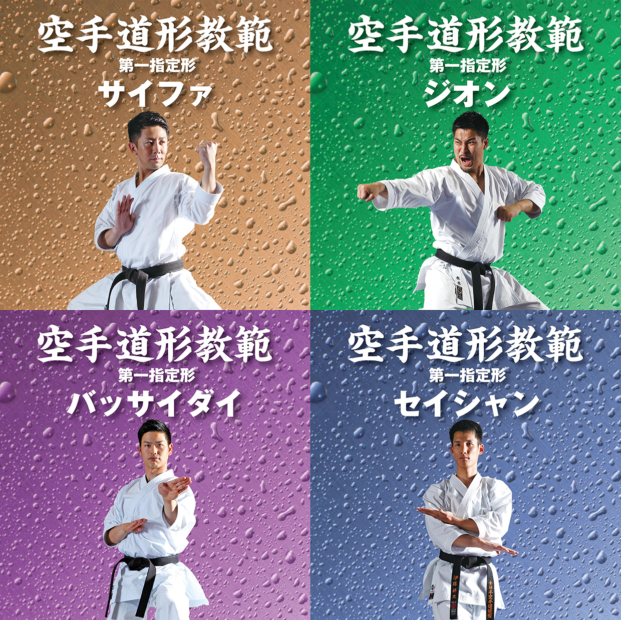 おしらせ ページ 3 Jkfan News International 空手ワールド