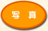 ʐ^