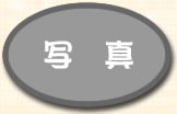 ʐ^