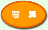 ʐ^