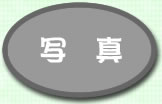 ʐ^