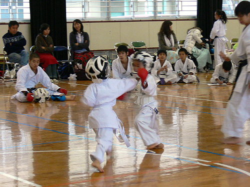 写真15