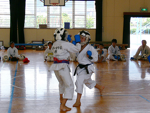 写真12