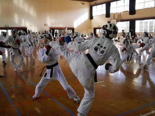 写真11