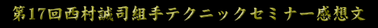 第17回西村誠司組手テクニックセミナー感想文