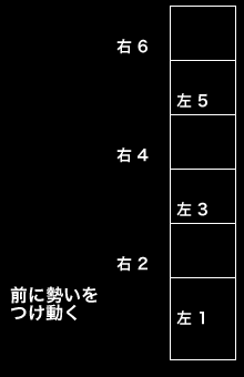 ラダートレーニング 指導内容 西村誠司組手組手テクニックセミナー