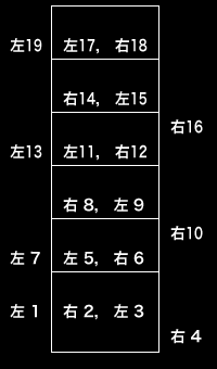 ラダートレーニング 指導内容 西村誠司組手組手テクニックセミナー